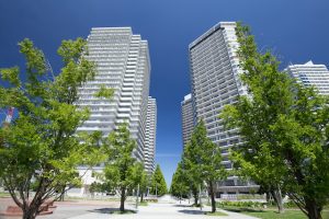 How the Spring Season Affects Your Property’s Trees
