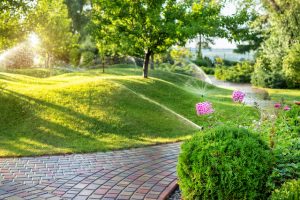Key Tips for Nourishing Your Trees this Summer
