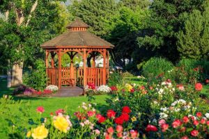 What Every Homeowner Should Look for in the Spring and Summer for Their Trees
